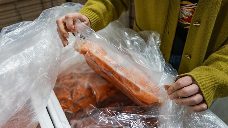 Prahou 9 zachvěla kauza „prošlých ryb“. Podle zjištění redakce Aktuálně.cz je skutečnost ovšem zamotanější – a problém není v rybách.