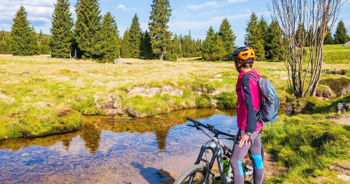 Jaro se pomalu ujímá vlády. Čechy už nepotrápí chlad, ale něco docela jiného