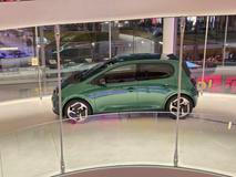 Jedná se o ani ne 3,8 metru dlouhý pětidveřový elektrický hatchback.