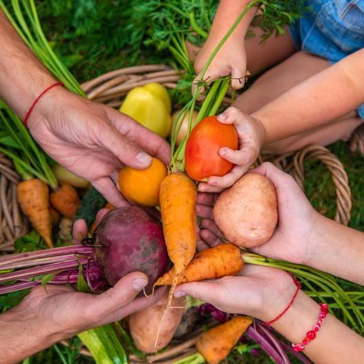 Matka s dcerou na měsíc vyřadily průmyslově zpracované potraviny a zjistily, že mají menší chutě na sladké, jedí kvalitněji a cítí se lépe fyzicky i psychicky.