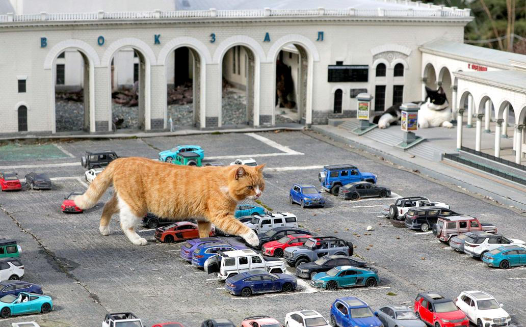 Škoda tyhle fotky minout: mystické tetování, pády i pocty nebo kočičí město