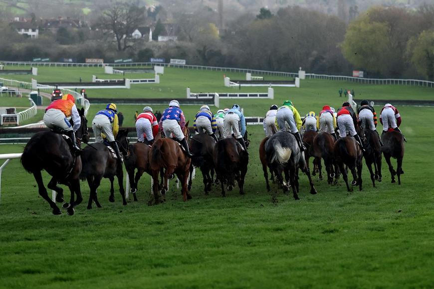 Brutální osud dostihového koně. V polévce ho prozradil mikročip
