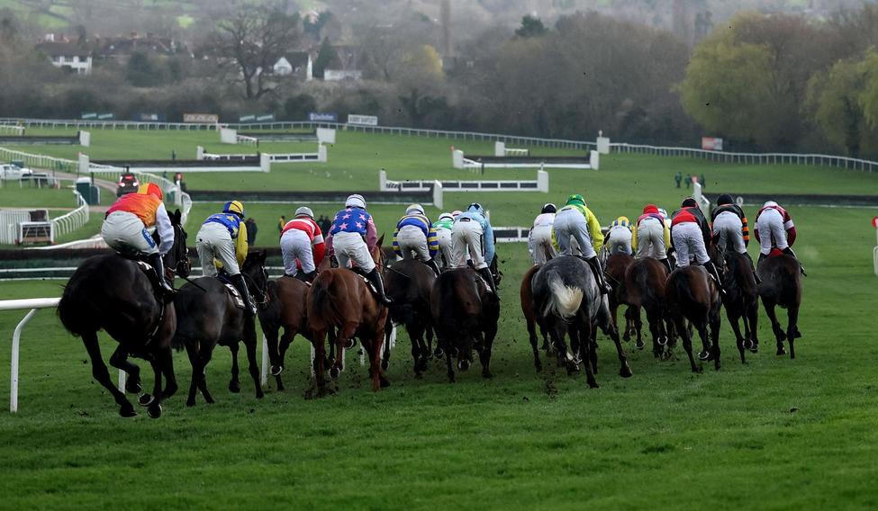 Dostihy - ilustrační foto