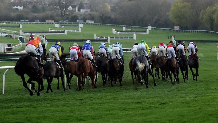 Dostihy - ilustrační foto