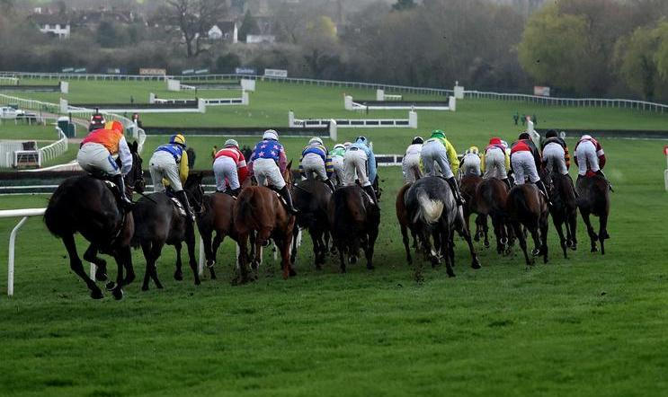 Dostihy - ilustrační foto