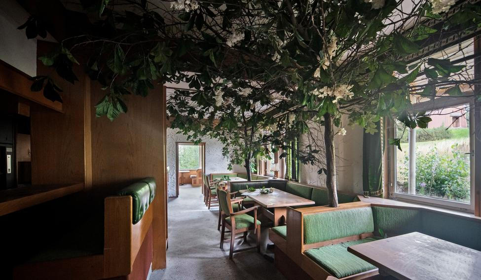 To je on, legendární strom, kvůli kterému sem jezdí lidé z celého světa.