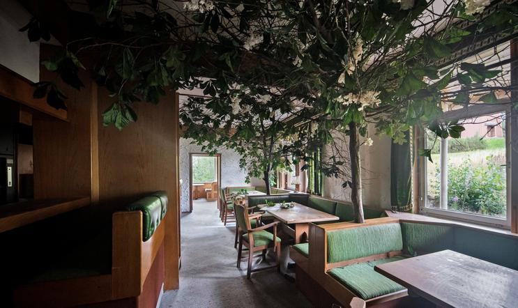 To je on, legendární strom, kvůli kterému sem jezdí lidé z celého světa.