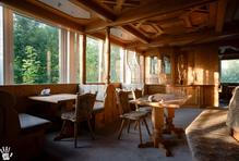 Hra světla a stínu během takzvané „zlaté hodinky“.