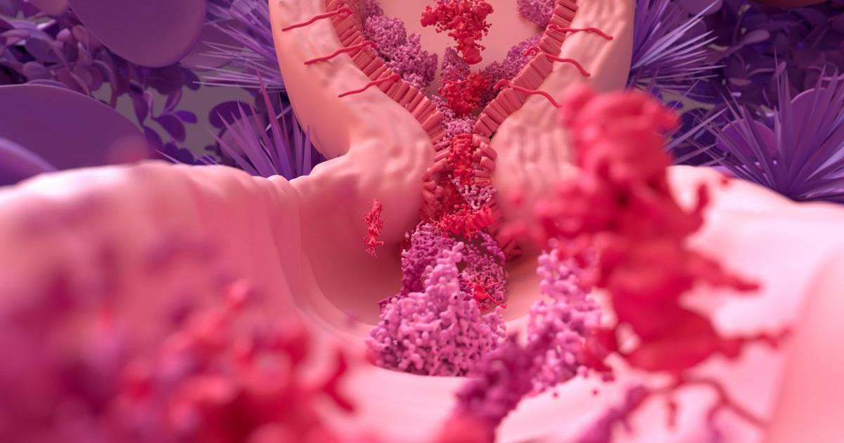 Barva, složení i buňky. Co všechno může prozradit menstruační krev o vašem zdraví