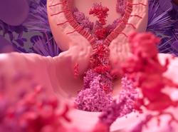 Barva, složení i buňky. Co všechno může prozradit menstruační krev o vašem zdraví