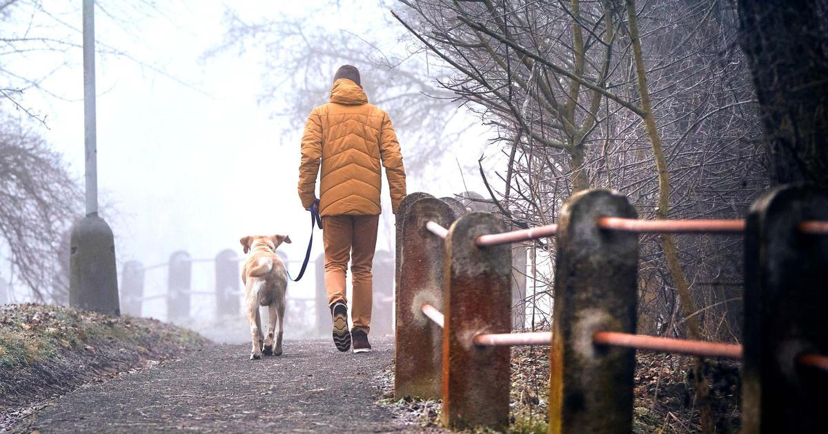 Počasí plné zvratů. Mrazy vystřídá prudké oteplení, idyla však nepotrvá dlouho