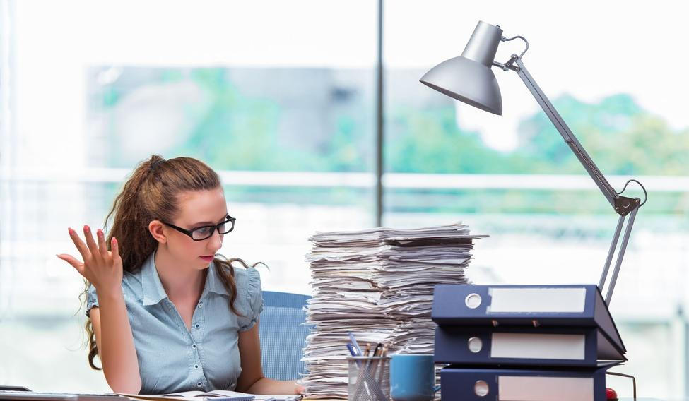 Úředník, úřednice