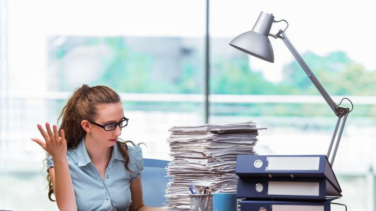 Úředník, úřednice