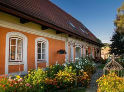 Z prudy se stala srdcovka. Bývalá cestovatelská hvězda našla štěstí v Růžové chalupě.