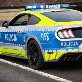 Okresní soud pak loni na podzim vyhovět žádosti, že auto propadlé státu poputuje k policii. Jinak by šlo do aukce.