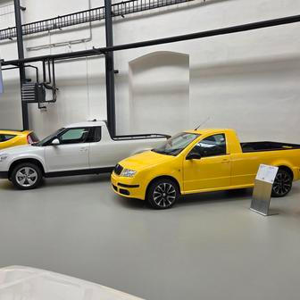 O existenci pick-upů na základě Fabie a Yetiho asi věděl donedávna jen málokdo. Oba vznikly v rámci interního vývoje, fabií bylo dokonce více, používaly se třeba na převážení různých dílů v rámci Škoda Auto.