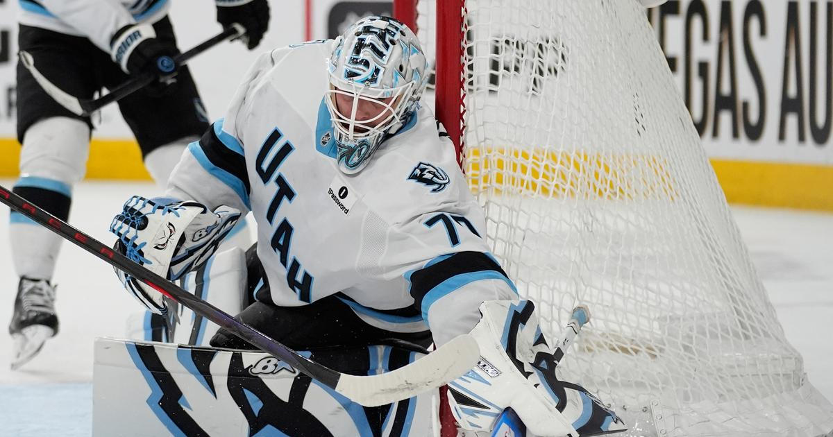 „Byl absolutně fenomenální.“ Vejmelka před střelci Vegas zavřel branku