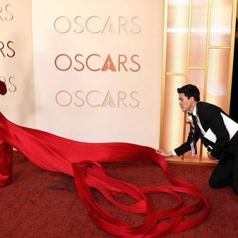 Škoda tyhle fotky minout: hravá Lilly, neposlušná vlečka nebo skutečný Matrix