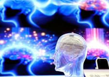 Škoda tyhle fotky minout: hravá Lilly, neposlušná vlečka nebo skutečný Matrix