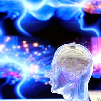 Škoda tyhle fotky minout: hravá Lilly, neposlušná vlečka nebo skutečný Matrix