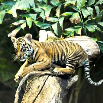 Škoda tyhle fotky minout: hravá Lilly, neposlušná vlečka nebo skutečný Matrix