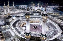 Škoda tyhle fotky minout: hravá Lilly, neposlušná vlečka nebo skutečný Matrix