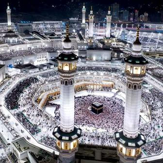 Škoda tyhle fotky minout: hravá Lilly, neposlušná vlečka nebo skutečný Matrix