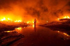 Škoda tyhle fotky minout: hravá Lilly, neposlušná vlečka nebo skutečný Matrix