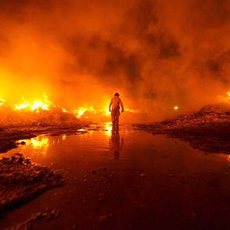 Škoda tyhle fotky minout: hravá Lilly, neposlušná vlečka nebo skutečný Matrix