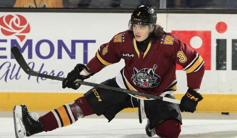 Dominik Badinka v dresu farmářského týmu Chicago Wolves