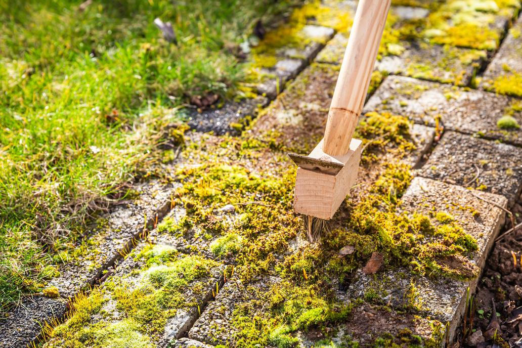 Removing,And,Scratching,Moss,Out,Of,Paving,Stones,,Cleaning,Terrace
