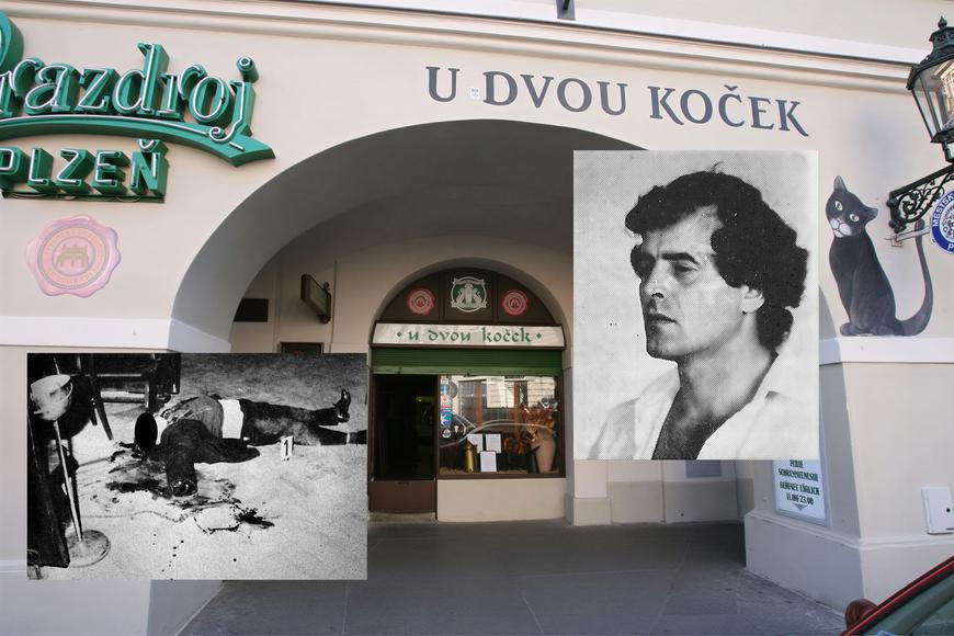 U Dvou koček tekla krev a sekaly se ruce. Případ, který zaskočil i Markoviče