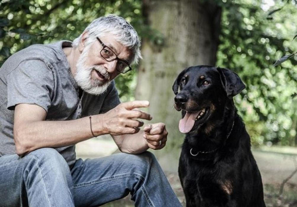Jiří Bartoška, Teorie tygra