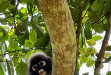 Volba padla na ostrov Ko Samui, který poprvé navštívil v roce 2009. „Je to dobré místo na život i podnikání. Sice je to ostrov, ale druhý největší v Thajsku a má všechno - pláže, přírodu, klidná místa i centrum s obchody a nočním životem,“ vysvětluje. 