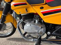 Žlutý exemplář má kouzlo.