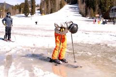 Zima je na dovolené, svah patří kráskám a odvážným lyžařům