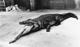 Helmut Newton nikdy neusiloval o to líbit se. Nechtěl být přijatelný pro všechny, neměl potřebu se zavděčit.