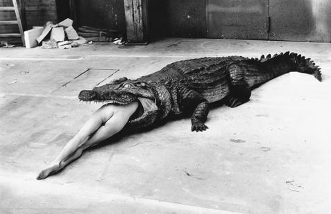 Helmut Newton nikdy neusiloval o to líbit se. Nechtěl být přijatelný pro všechny, neměl potřebu se zavděčit.