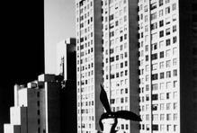 Nejde v nich jen o krásu, ale o vztahy moci, o pohled, který není jednoznačný ani pohodlný.