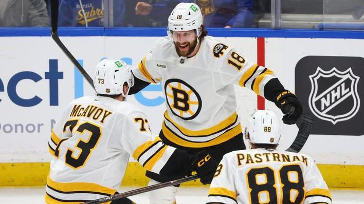 Bruins Sabres Hockey