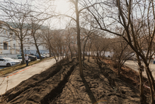 Tyto zásahy mají společný cíl: zlepšit kvalitu veřejného prostoru, posílit pěší prostupnost a přizpůsobit město současným potřebám obyvatel i návštěvníků. V jaké fázi se projekty nachází?

Na obrázku: Karlovo náměstí