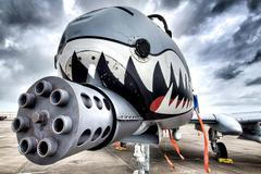 Port,Isabel,,Texas,Usa,June,22,2019,Dramatic,Close-up,Of