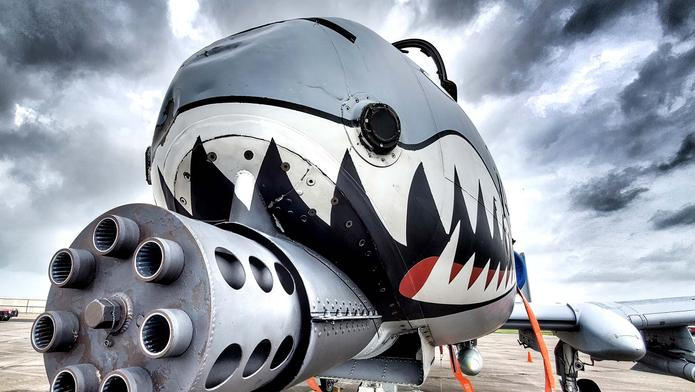 Port,Isabel,,Texas,Usa,June,22,2019,Dramatic,Close-up,Of