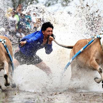 Škoda tyhle fotky minout: rozevlátá arcibiskupka, žokej ná býku nebo pocta legendě
