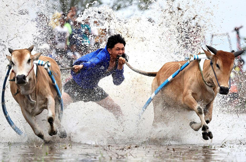 Škoda tyhle fotky minout: rozevlátá arcibiskupka, žokej ná býku nebo pocta legendě