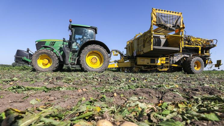 Sklizeň raných brambor, pole, zemědělec, zemědělství, brambory, Farma Zálezlice, Agrární komora