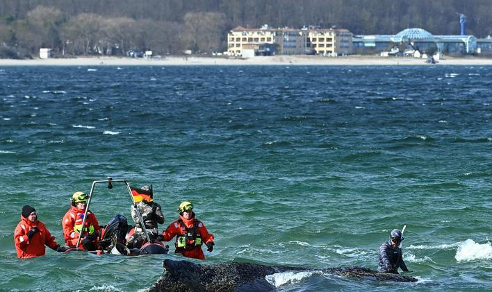 Do noci na pátek, kdy se dokázala uvolnit, byla velryba na mělčině u města Timmendorfer Strand (na snímku se záchranáři), v sobotu uvázla znovu, tentokrát v zálivu Wismarer Bucht vzdáleném jen několik desítek kilometrů.