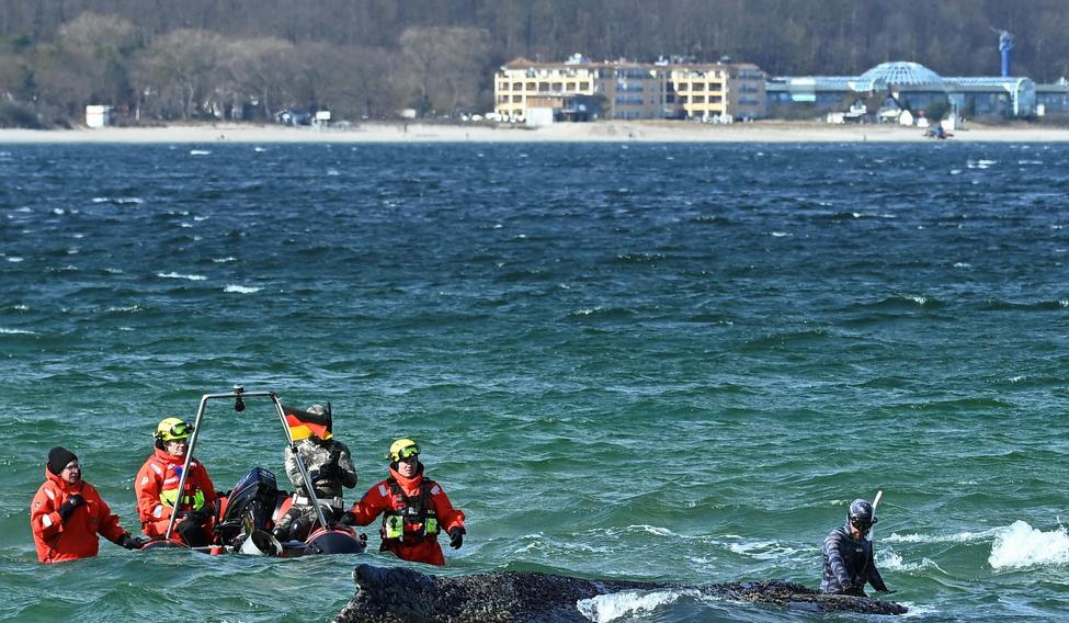 Do noci na pátek, kdy se dokázala uvolnit, byla velryba na mělčině u města Timmendorfer Strand (na snímku se záchranáři), v sobotu uvázla znovu, tentokrát v zálivu Wismarer Bucht vzdáleném jen několik desítek kilometrů.
