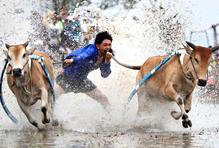 Škoda tyhle fotky minout: rozevlátá arcibiskupka, žokej ná býku nebo pocta legendě