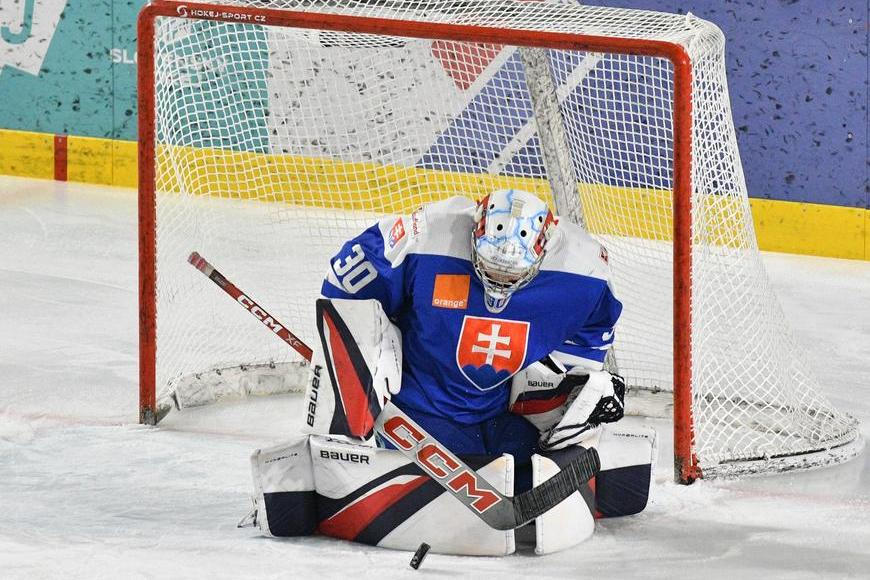 Vzal puk a poslal ho do soupeřovy branky. Slovenský mladík zvedl fanoušky ze sedadel